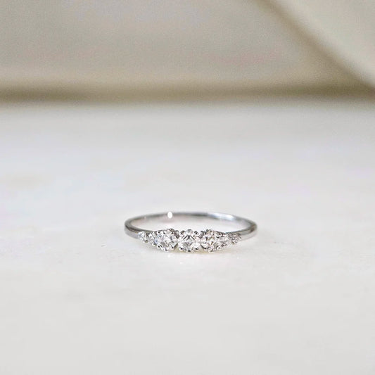 14K Arya Moissanite and Diamond Band