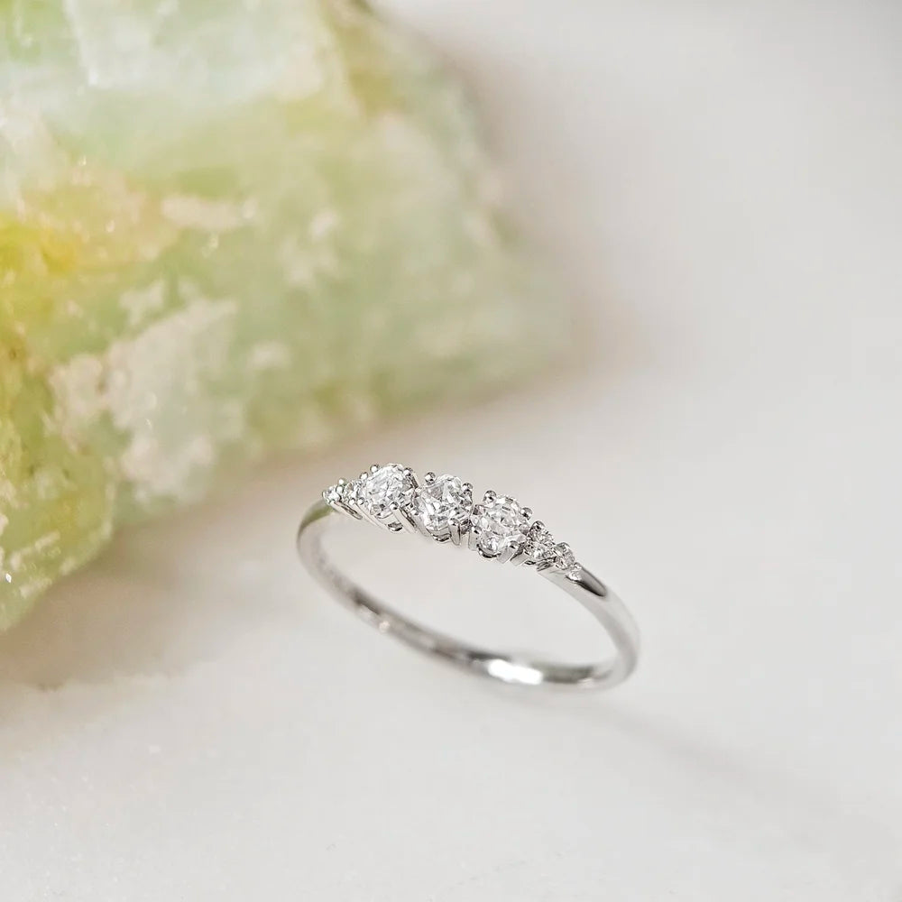 14K Arya Moissanite and Diamond Band